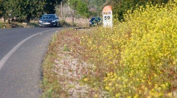 Les carreteres de Mallorca tornen a tenir les voreres florides.
